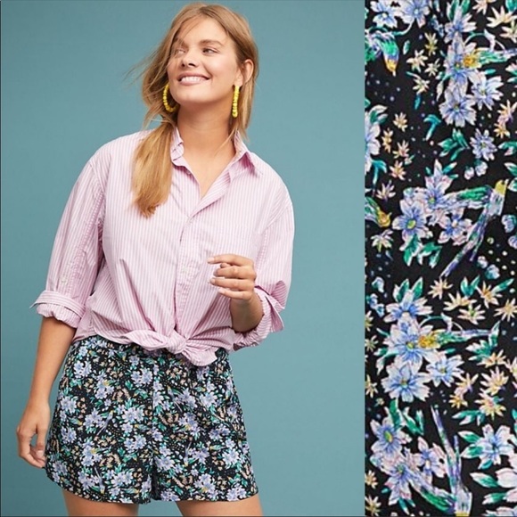Anthropologie Pants - NWT Anthropologie Shorts